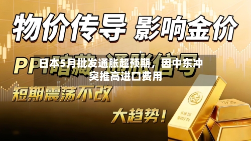 日本5月批发通胀超预期,因中东冲突推高进口费用
